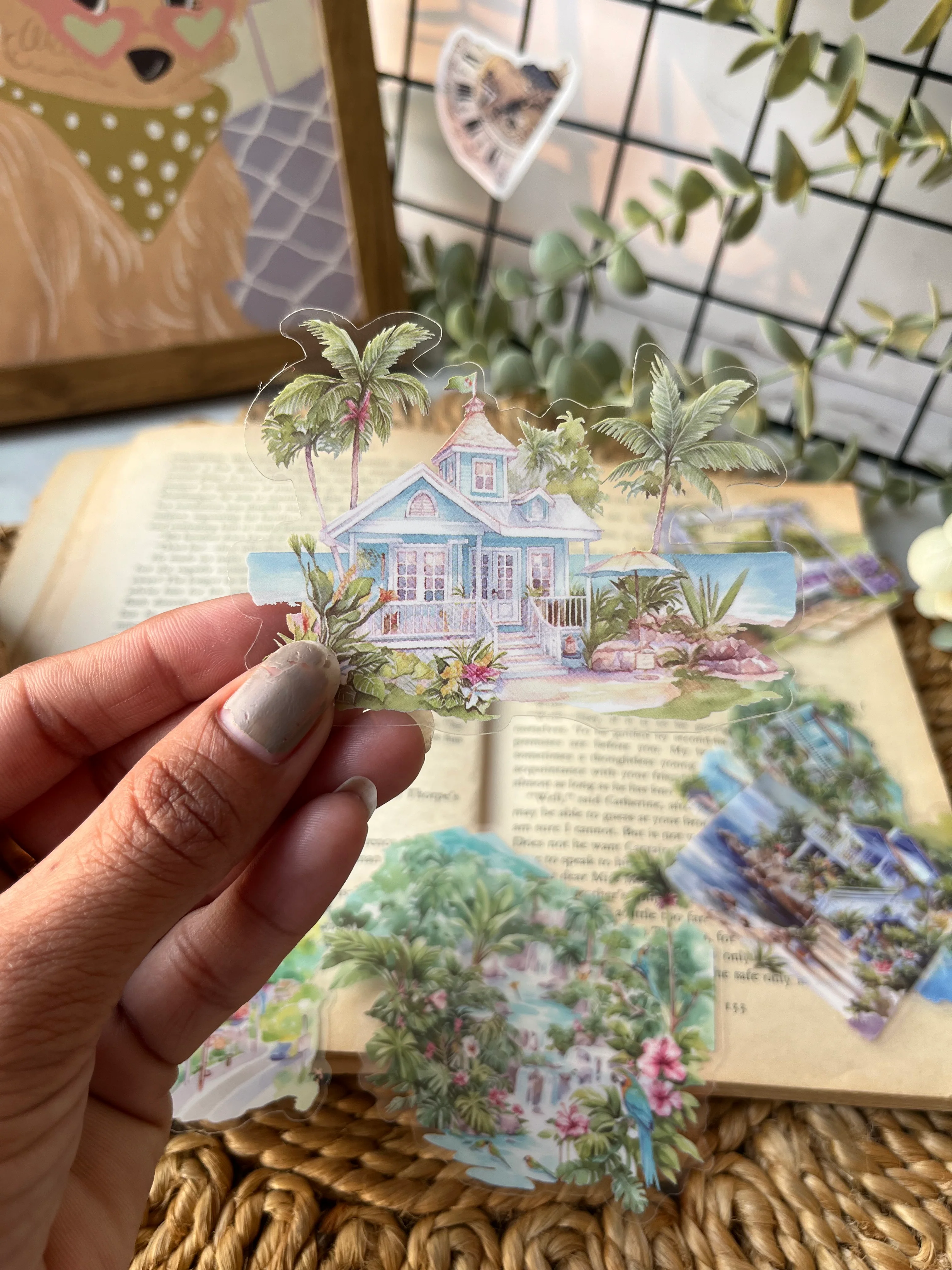 Product image 11