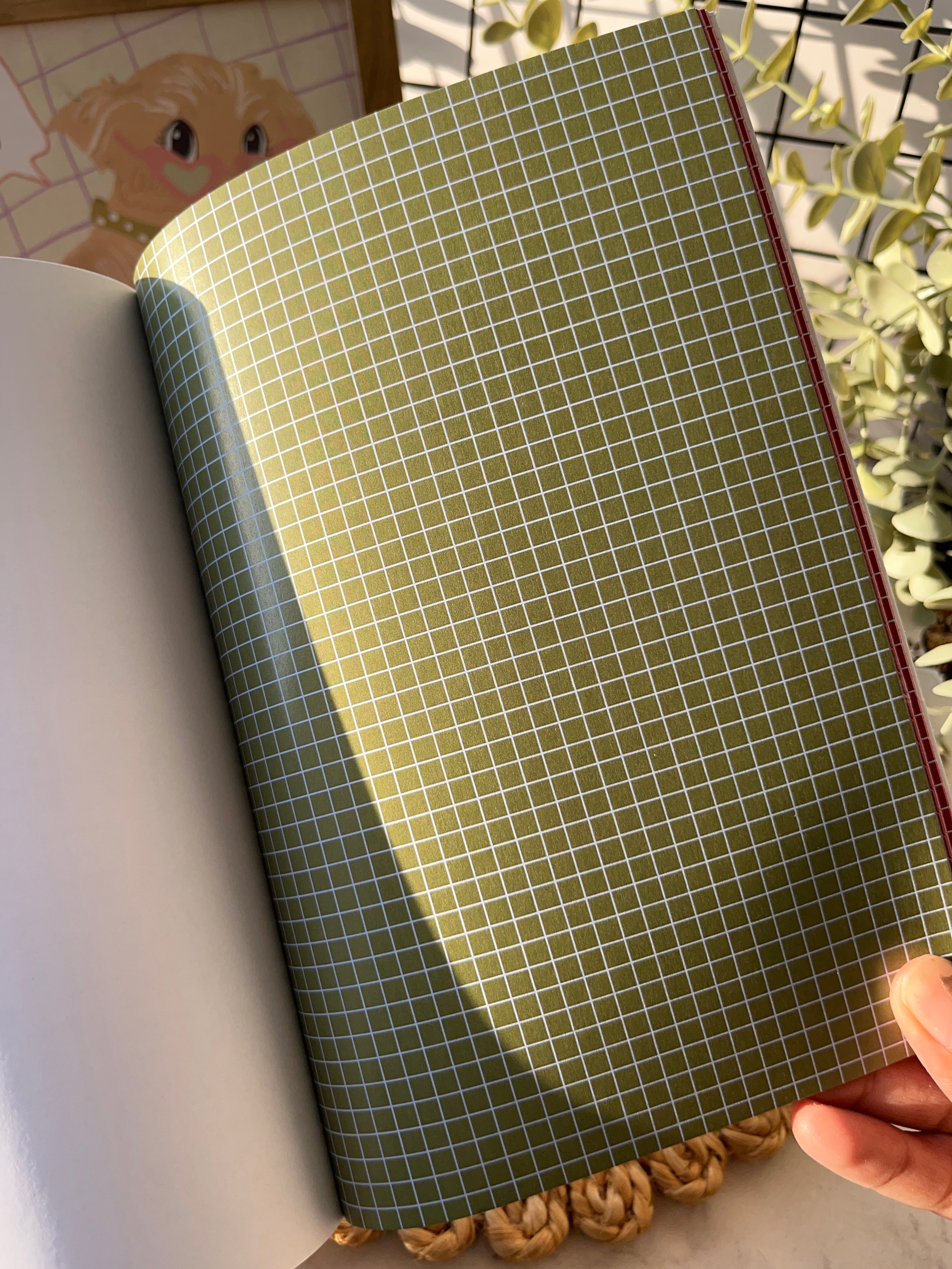 Product image 31